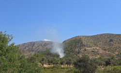 Bodrum'da evde çıkan yangın ormana sıçramadan söndürüldü