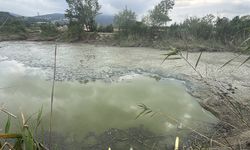 Bolu'da balık ölümlerinin yaşandığı gölette inceleme yapıldı