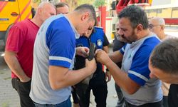 Bursa'da bacağı ipe dolandığı için ağaçta mahsur kalan kargayı itfaiye kurtardı