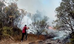 Bursa'da zeytinlikte çıkan yangın söndürüldü