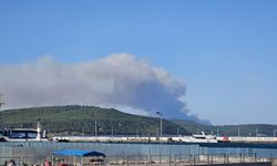 Çanakkale Gelibolu'da ormanlık alanda çıkan yangına müdahale ediliyor