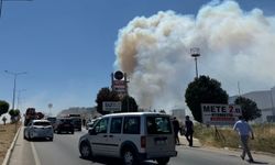 Çanakkale'de çıkan orman yangınına müdahale ediliyor