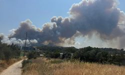 Çanakkale'de tarım arazisinde başlayıp ormana sıçrayan yangına müdahale ediliyor