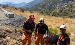 Datça'da kuyuya düşen köpek kurtarıldı