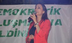 Hatimoğulları: "Komisyondan beklentimiz silahların kalıcı olarak susmasıdır"