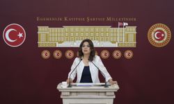 DEM Parti Grup Başkanvekili Koçyiğit, gündemi değerlendirdi: