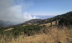 Denizli'de ormanlık alanda çıkan yangına müdahale ediliyor