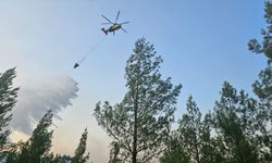 Denizli'nin Acıpayam ilçesinde orman yangını çıktı