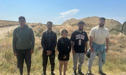 Edirne ve Kırklareli'nde 12 düzensiz göçmen yakalandı