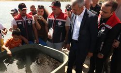 Edirne'de Osmanlı köyündeki gölete 30 bin pullu sazan yavrusu bırakıldı