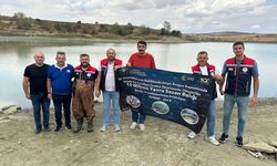 Edirne'de üretilen 975 bin 440 pullu sazan yavrusu Tekirdağ'daki göletlere bırakıldı