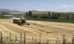 Ekili tarım arazisi yüzde 22 artan Kayseri'de üretici sayısı 32 bine ulaştı