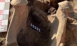 Elazığ'da Tadım Kalesi ve Höyüğü'nde yaklaşık 6 bin yıllık buluntular gün yüzüne çıkarıldı