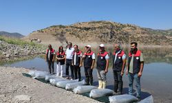 Elazığ'da üretilen 17 milyon yavru sazan iç sularla buluşturulacak