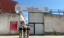 Erzurum'da firari hükümlü yakalandı