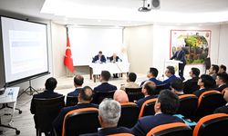 Erzurum'da kırsaldaki çoban köpekleri mikroçip takılarak sahiplendirilecek