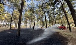 Fethiye'de ormanlık alanda çıkan yangın söndürüldü