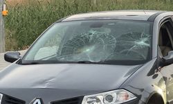 Fethiye'de otomobilin çarptığı kadın ağır yaralandı