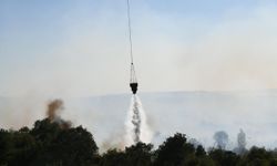 GÜNCELLEME 2 - Çanakkale'de tarım arazisinde çıkan yangın kontrol altına alındı