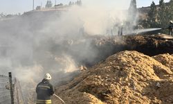 GÜNCELLEME 2 - Erzurum'da kırsal mahalledeki evler ve ahırlarda çıkan yangın kontrol altına alındı