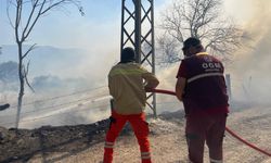 GÜNCELLEME 2 - Kocaeli'de çıkan orman yangınına müdahale ediliyor