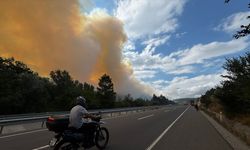 GÜNCELLEME 3 - Bolu'da ormanlık alanda çıkan yangın kısmen kontrol altına alındı