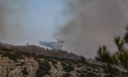 GÜNCELLEME 4 - Çanakkale Gelibolu'da ormanlık alandaki yangına müdahale 2. gününde sürüyor