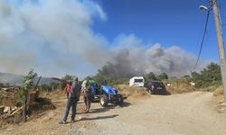 GÜNCELLEME 4 - Çanakkale Gelibolu'da ormanlık alandaki yangına müdahale ediliyor