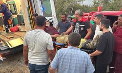 GÜNCELLEME - Adana'nın İmamoğlu ilçesinde orman yangını çıktı