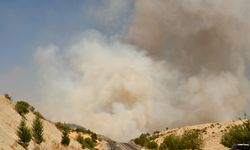 GÜNCELLEME - Adıyaman'daki ormanlık alanda çıkan yangın kontrol altında