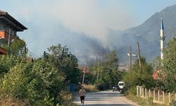 GÜNCELLEME - Bartın'da ormanlık alanda çıkan yangın kontrol altına alındı