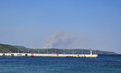 GÜNCELLEME - Çanakkale Gelibolu'da çıkan yangına müdahale ediliyor