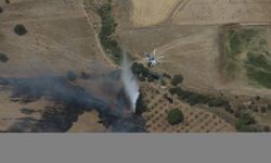 GÜNCELLEME - Çanakkale'de zirai alanda çıkan yangın söndürüldü