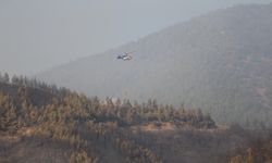 GÜNCELLEME - Hatay'da dün çıkan orman yangınına müdahale ediliyor