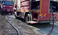 Hatay'da ormanlık alanda çıkan yangın söndürüldü