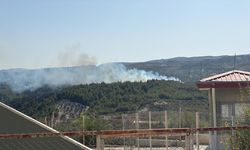 Hatay'da ormanlık alanda yangın çıktı