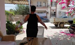 Hatay'da sahipsiz köpeğin saldırdığı çocuk yaralandı