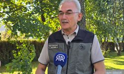İhmal ve dikkatsizlikle çıkan orman yangınlarına karşı farkındalık bilinci önemli