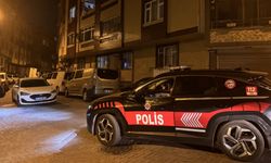 İstanbul'da düzensiz göçmenlere yönelik operasyon düzenlendi