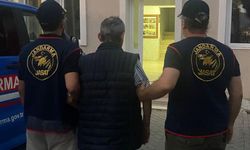 İzmir'de sahipsiz hayvanların zehirli yiyeceklerle öldürülmesine ilişkin 1 şüpheli yakalandı