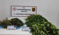 Kahramanmaraş'ta çeşitli suçlardan aranan 14 şüpheli tutuklandı
