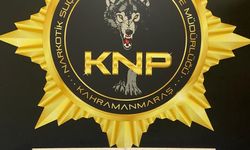 Kahramanmaraş'ta çeşitli suçlardan aranan 31 şüpheli tutuklandı