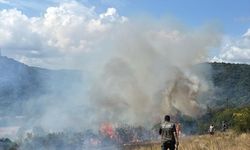 Kırklareli'nde çıkan orman yangını söndürüldü