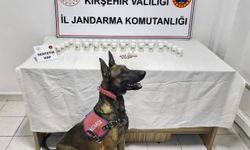 Kırşehir'de düzenlenen uyuşturucu operasyonunda 1823 sentetik hap ele geçirildi