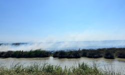 Kızılırmak Deltası Kuş Cenneti'nde yangın