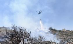 KKTC'nin Girne kentinde çıkan orman yangını kontrol altına alındı