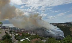 Kocaeli'de ağaçlık ve makilik alanda çıkan yangına müdahale ediliyor