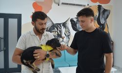 Kocaeli'de zifte saplanmış halde bulunan köpek yavrusu yeni yuvasına kavuştu