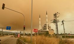 Kocaeli'deki orman yangınının neden olduğu duman Bursa'ya ulaştı