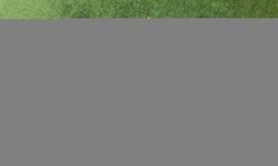 Konteyner kentteki çocuklar TFF sayesinde çim sahada futbol eğitimi alıyor